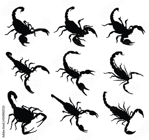 The set Silhouettes of a scorpions.
