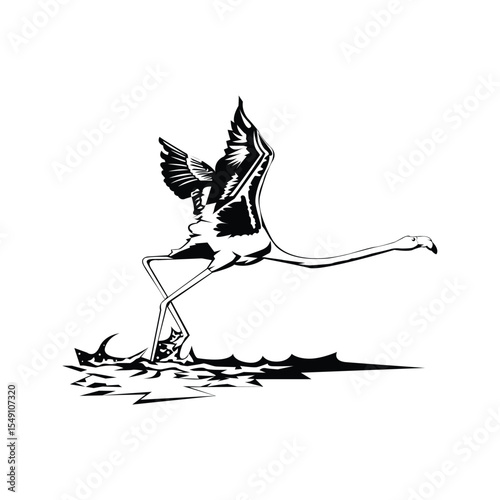 Greater flamingo design template