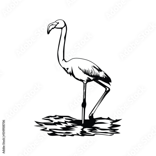 Greater flamingo design template