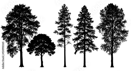 Silhouette of diverse tree species collection for nature design and decor vector illustration