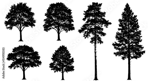 Variety of tree silhouettes for nature design and decoration projects vector illustration