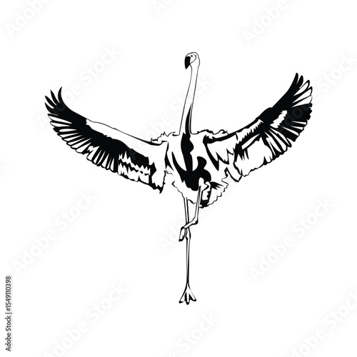 Greater flamingo design template
