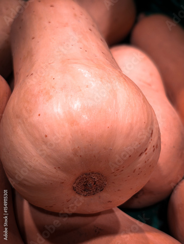 Vertical photo of orange pumpkins at a farmer’s market