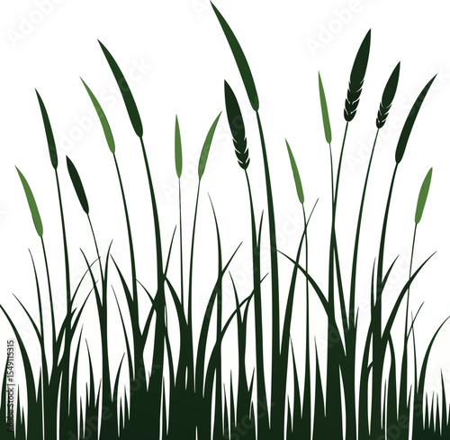 Grass Silhouette Vector Collection Long, Tall, Wild, and Minimal Grass Designs for Nature Projects, Grass vector