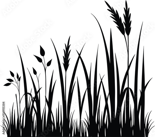 Grass Silhouette Vector Collection Long, Tall, Wild, and Minimal Grass Designs for Nature Projects, Grass vector