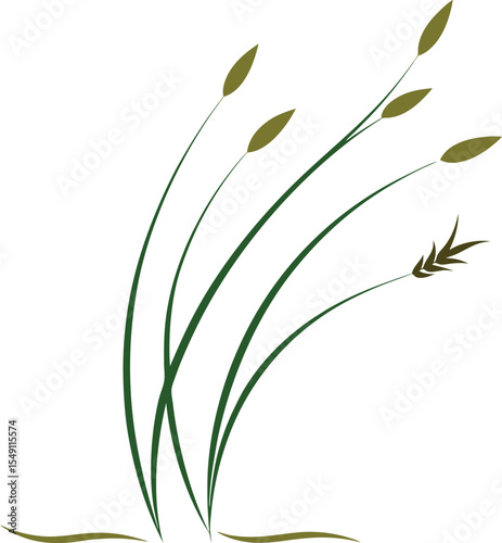 Grass Silhouette Vector Collection Long, Tall, Wild, and Minimal Grass Designs for Nature Projects, Grass vector