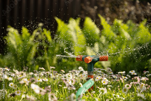 Garden sprinkler watering flowerbed and green lawn with flowers. Watering garden a hose at heat summer. Close up. Automatic smart irrigation system.