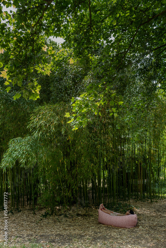 Nap and rest in the bamboo forest