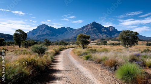 Outback dirt road leading to rugged mountain range
