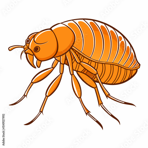 Flea Insect Vector – Detailed Close-Up of a Parasite Bug