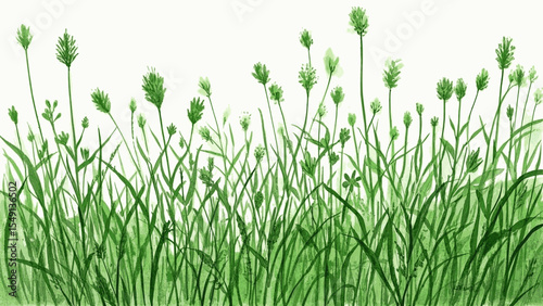 Meadow Mist Green Grass isolated watercolor vector illustration svg