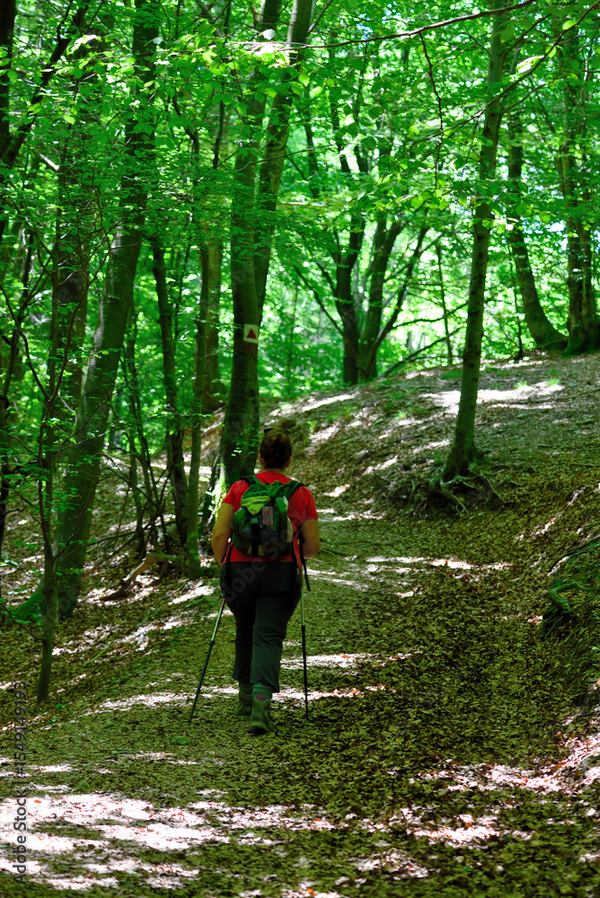 Obraz premium path from barbagelata to mount caucasus (caucaso) genoa italy