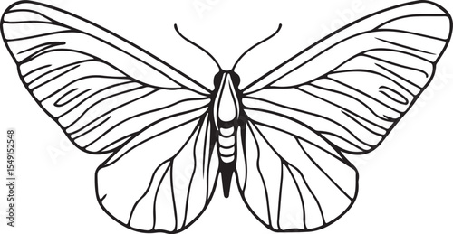 Elegant Butterfly Outline Illustration Simple Black and White Design