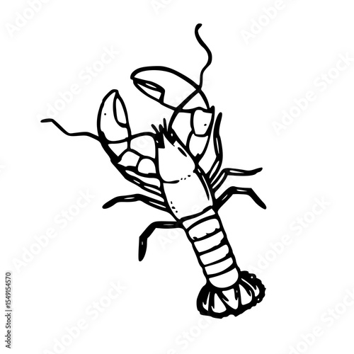 fresh lobster outline vector illustration