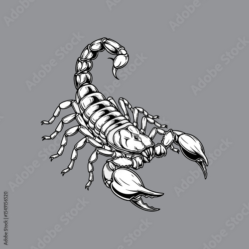 vector illustration of an scorion