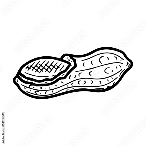 Peanuts in open shell. Hand drawn doodle vector. Ripe bean nut. Natural food. Organic ingredient. Grains seeds kernels. Agricultural plant. Farm product. Illustration line art element.