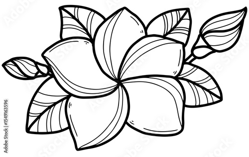 Black and white vector hand drawn frangipani flower design. editable, tattoo image, wedding ornament, bali flower