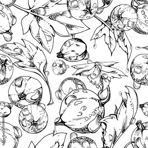 Currant gooseberry flying in water dew drops with green leaves, ripe garden berry casseille juneberry jostaberry hand drawn in vector ink. Isolated seamless pattern. Fabric, wrapping paper, wallpaper
