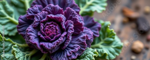 kale contains carotenoids that modulate immune responses and enhance pathogen resistance.