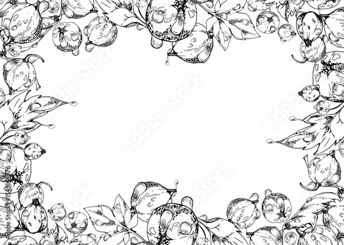 Currant gooseberry, leaves in water dew drops hand drawn in vector ink, scattered ripe garden casseille berry. Isolated border frame. Home preserves, textile, food store decor, vegan recipe cards