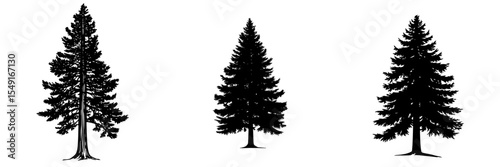 A modern icon featuring a redwood tree black silhouette is suitable for modern and natural branding projects, offered in svg and png with a transparent background