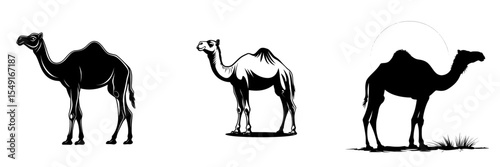 A camel's silhouette is depicted in a minimalist style against a white backdrop
