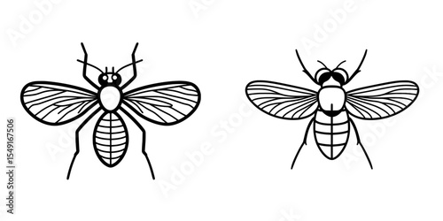 In a modern style, the fly insect icon is designed in line form, showcasing its wings and other anatomical features on a clean white background with editable strokes