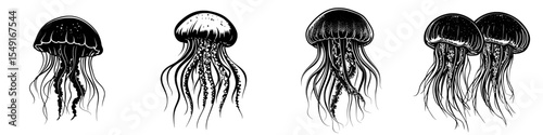 Modern black and white illustration of a fat jellyfish silhouette