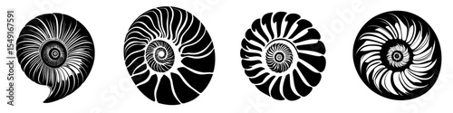 A black silhouette of a Nautilus sea shell or spiral round snail shell is isolated on a white background, featuring a segmented shape in stencil style, suitable for modern clipart, monochrome signs,