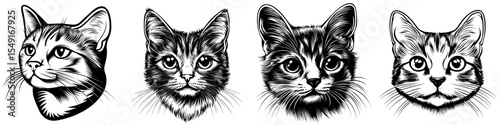 Modern cat head illustration with transparent background isolation