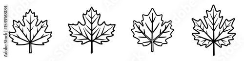 Maple line icon featuring white and black colors, part of a modern maple collection suitable for web, mobile apps, and UI design