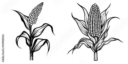 Modern corn stalk icons utilize corn illustrations as signs, embodying the symbol of plants and the logo of weeds