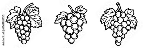 Black outline icon of grapes presented in a modern eps illustration style
