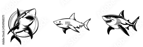 The illustration is a modern depiction of a shark in a minimalist and simple silhouette style