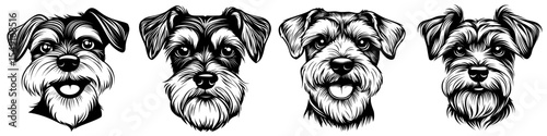 A modern black and white smiley schnauzer puppy head icon isolated on a white background
