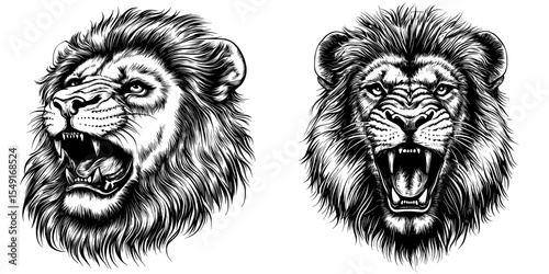 A modern illustration of a lion's head is depicted in a hand-drawn engraving style, showcasing a black leo lion beast as a cartoon character with a growling expression