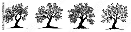 The silhouette of an olive tree is isolated for printing purposes, suitable for labels, branding, and extra virgin products, depicted in black and white