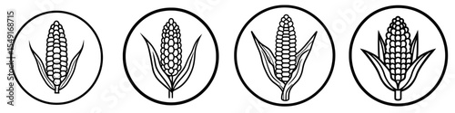 A simple, modern pictogram of a single black round corn icon, indicating an allergy ingredient that is not contained, in a flat design for use as an app logo, web button, or ui ux interface element,