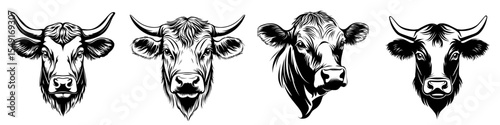 Modern illustrations feature a silhouette of a great cow face as a great big Angus cattle head logo