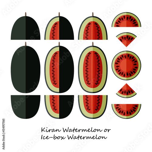 Set of Kiran Watermelons. Ice-box Watermelon. Citrullus lanatus. Fruits and vegetables. Flat style. Isolated vector illustration.