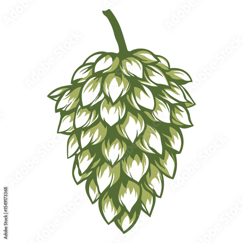 Illustration of hop cone or green pine cone with natural details, without background