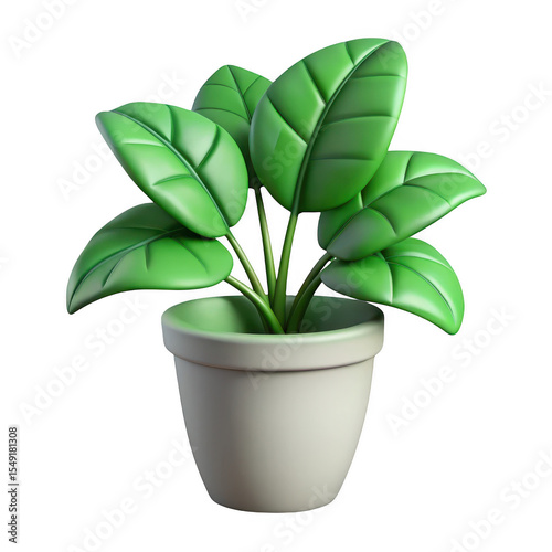 Green plant in a pot isolated on transparent background