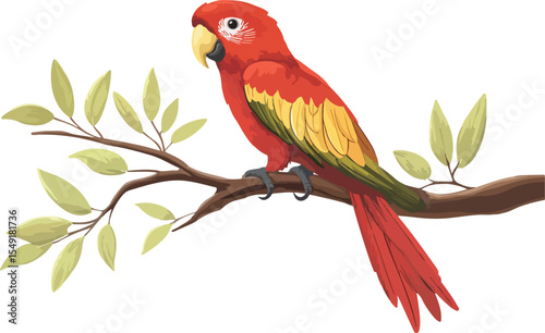 Scarlet Macaw on Branch with Leaves Isolated Vector Illustration