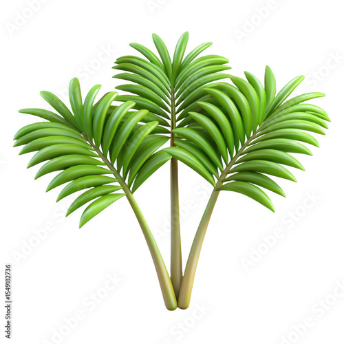 Three palm leaves isolated on transparent background