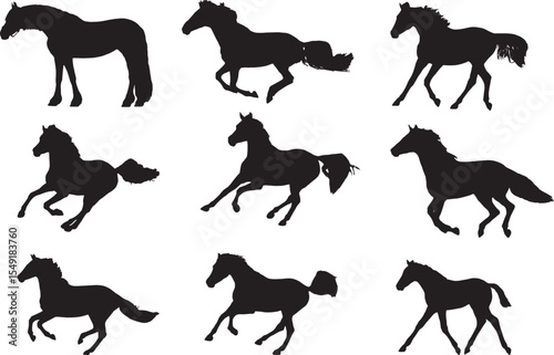 Horse Silhouettes, Vector Illustration on White Background.
