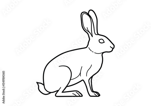 Jack rabbit drawing. It is a black and white outline image of a jack rabbit, a wild hare characterized by its long ears and powerful legs, sitting. Vector sketch line art draw.