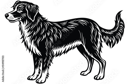 A majestic Newfoundland dog stands peacefully in a striking, bold black silhouette