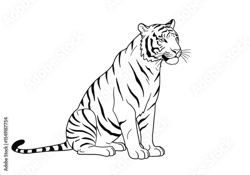 Sitting tiger drawing. It is a black and white outline image of a tiger in a sitting pose, showcasing its powerful and majestic presence. Vector sketch line art draw.