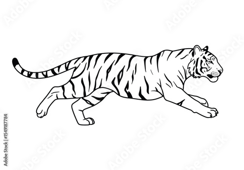 Running tiger drawing. It is a black and white outline image of a tiger in a running posture, showcasing its powerful and agile movement. Vector sketch line art draw.