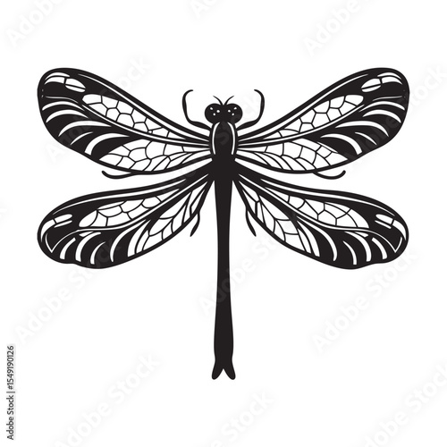 silhouette of damselfly on the white background